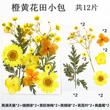 Load image into Gallery viewer, Pendants Earrings Mold and Flower Field Bag