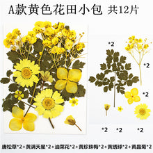 Load image into Gallery viewer, Pendants Earrings Mold and Flower Field Bag