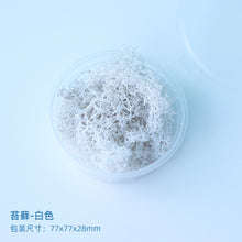 Load image into Gallery viewer, Eternal Flower Material