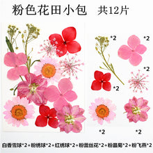 Load image into Gallery viewer, Pendants Earrings Mold and Flower Field Bag