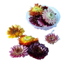 Load image into Gallery viewer, Eternal Flower Material