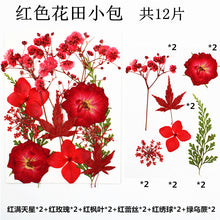Load image into Gallery viewer, Pendants Earrings Mold and Flower Field Bag
