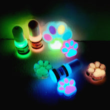 Load image into Gallery viewer, Color High Brightness Luminous Powder