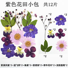 Load image into Gallery viewer, Pendants Earrings Mold and Flower Field Bag