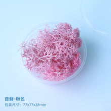 Load image into Gallery viewer, Eternal Flower Material