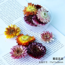 Load image into Gallery viewer, Eternal Flower Material