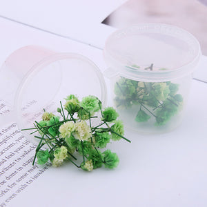 Starry Sky 3D Dried Flower Accessories