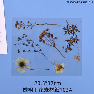 Transparent Dry Flower Material Paper