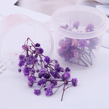 Load image into Gallery viewer, Starry Sky 3D Dried Flower Accessories
