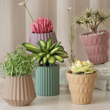 Load image into Gallery viewer, Cut Shape Flower Pot Mold
