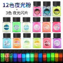 Load image into Gallery viewer, 12 Colors High Luminous Powder
