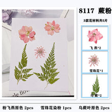 Load image into Gallery viewer, Mixed Dried Embossed Leaves Accessories
