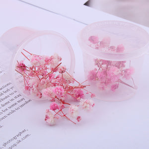 Starry Sky 3D Dried Flower Accessories