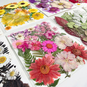 Dried Flowers Material Package