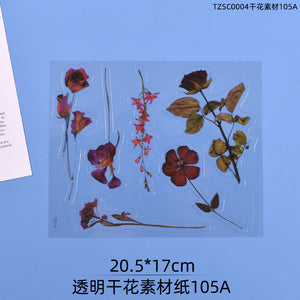 Transparent Dry Flower Material Paper