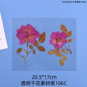 Transparent Dry Flower Material Paper