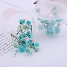 Load image into Gallery viewer, Starry Sky 3D Dried Flower Accessories
