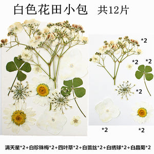 Plant Dry Embossing Material