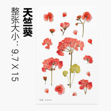 Load image into Gallery viewer, Dried Flower Stickers Material
