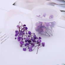 Load image into Gallery viewer, Starry Sky 3D Dried Flower Accessories
