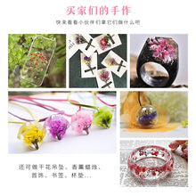 Load image into Gallery viewer, Starry Sky 3D Dried Flower Accessories
