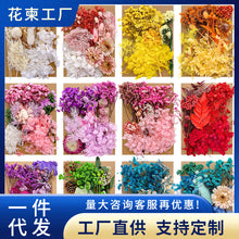 Load image into Gallery viewer, Flower card DIY material package, adhesive frame, group fan, candle decoration, filling material, eternal three-dimensional dry flower package
