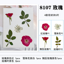 Load image into Gallery viewer, Mixed Dried Embossed Leaves Accessories
