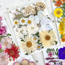 Load image into Gallery viewer, Dried Flowers Material Package
