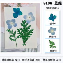 Load image into Gallery viewer, Mixed Dried Embossed Leaves Accessories
