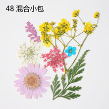 Load image into Gallery viewer, Dried Flower Pack
