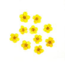 Load image into Gallery viewer, Star Mini Embossed Flower Material
