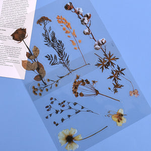 Transparent Dry Flower Material Paper