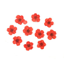 Load image into Gallery viewer, Star Mini Embossed Flower Material
