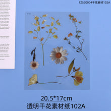 Load image into Gallery viewer, Transparent Dry Flower Material Paper
