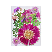 Load image into Gallery viewer, Dry Flower Mold Material
