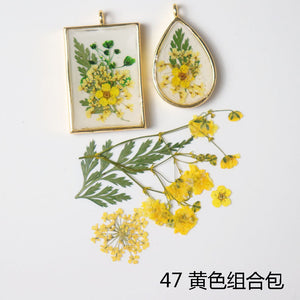 Dried Flower Pack