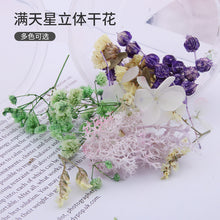 Load image into Gallery viewer, Starry Sky 3D Dried Flower Accessories
