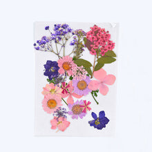 Load image into Gallery viewer, Dry Flower Butterfly Bag
