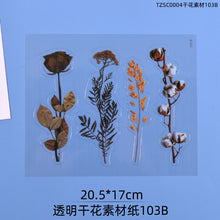 Load image into Gallery viewer, Transparent Dry Flower Material Paper
