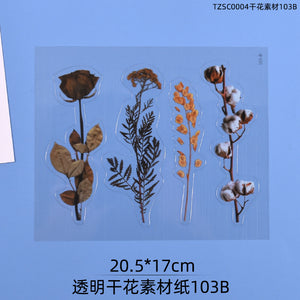 Transparent Dry Flower Material Paper