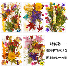 Load image into Gallery viewer, Dry Flower Butterfly Bag
