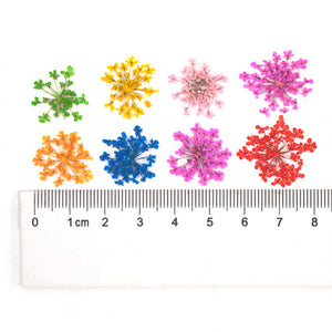 Flower card DIY crystal drop glue filling, tree branches, lace embossed flower, face decoration material, snowflake