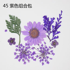 Dried Flower Pack