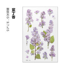 Load image into Gallery viewer, Dried Flower Stickers Material
