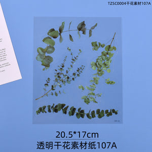 Transparent Dry Flower Material Paper