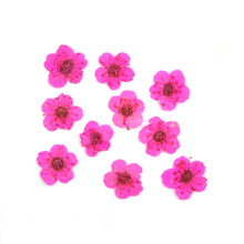 Load image into Gallery viewer, Star Mini Embossed Flower Material
