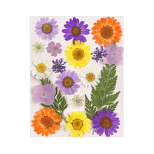 Load image into Gallery viewer, Dried Flower Material
