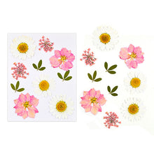 Load image into Gallery viewer, Dried Flower Bookmark Butterfly Accessories
