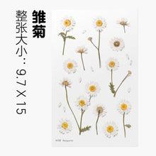 Load image into Gallery viewer, Dried Flower Stickers Material
