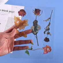 Load image into Gallery viewer, Transparent Dry Flower Material Paper
